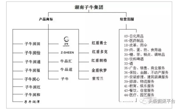 湖南子牛集团更名子康生活，沉寂两年后携新定位“重出江湖”